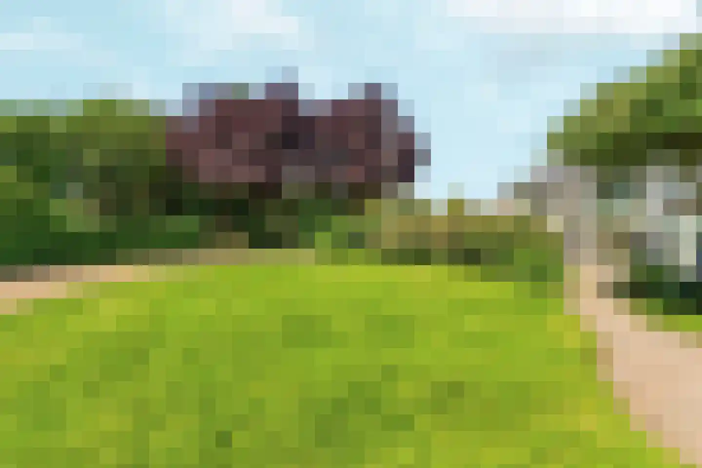 Vrij 16 Siebengewald thumbnail 41