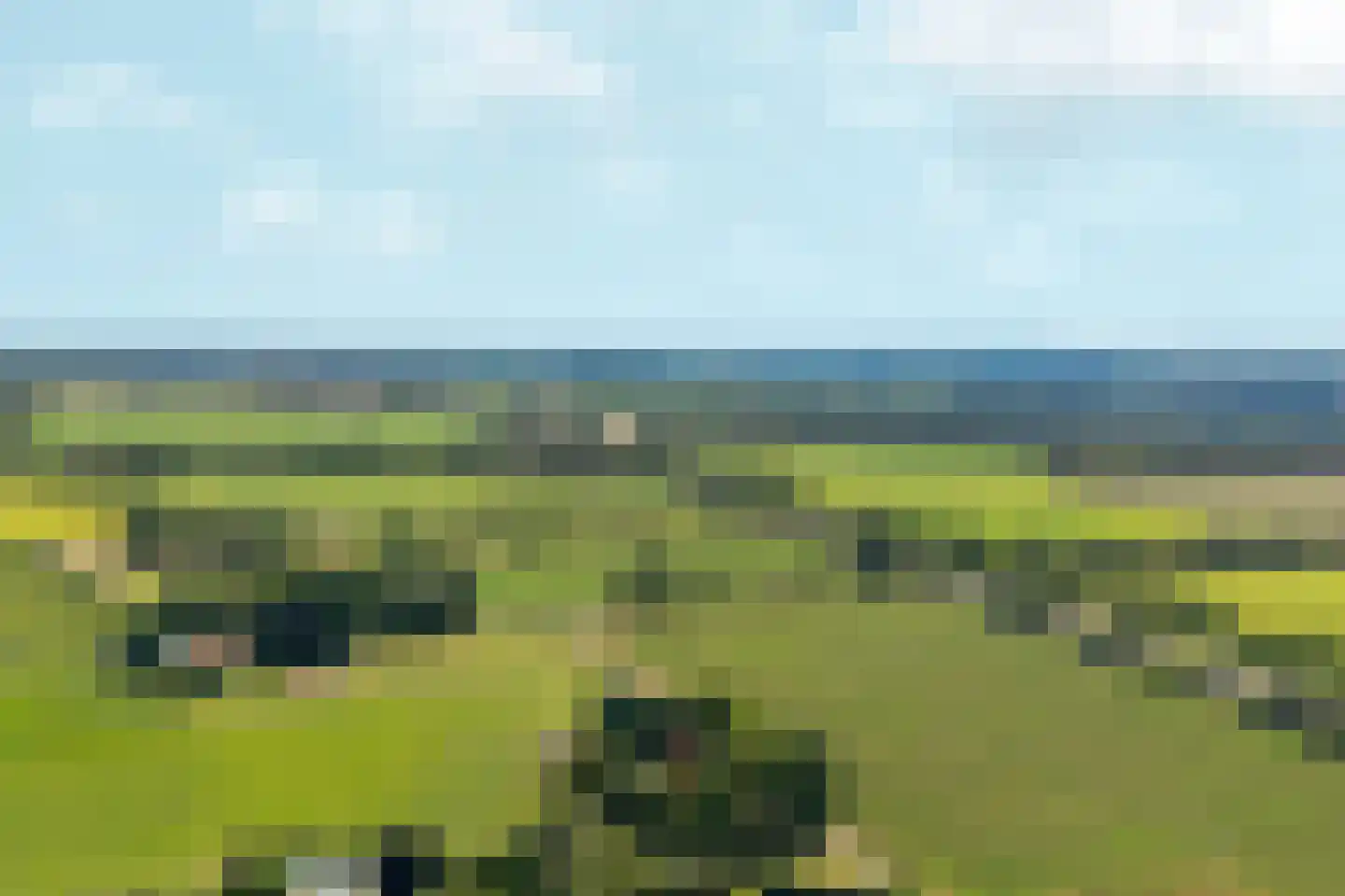 Vrij 16 Siebengewald thumbnail 47