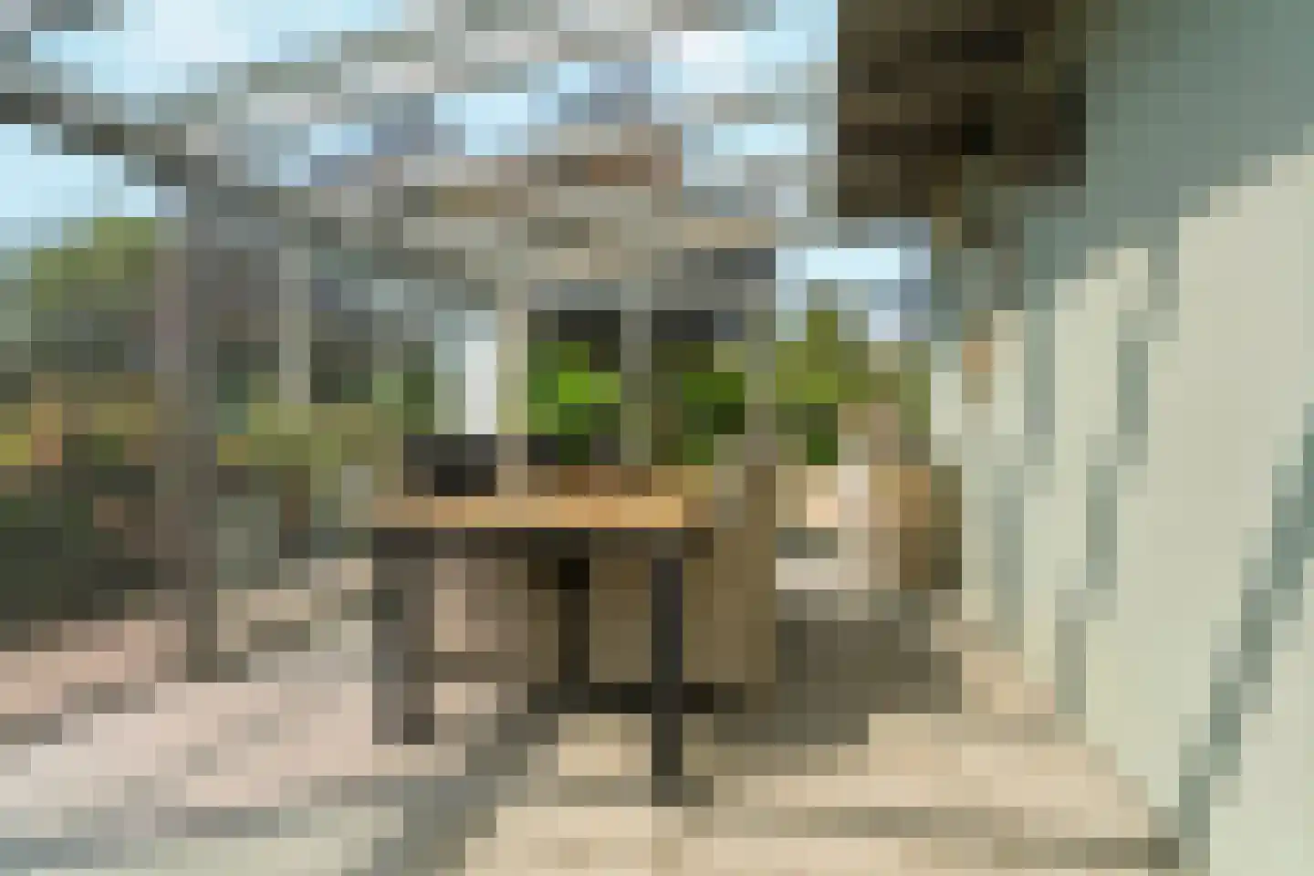 Vrij 16 Siebengewald thumbnail 5