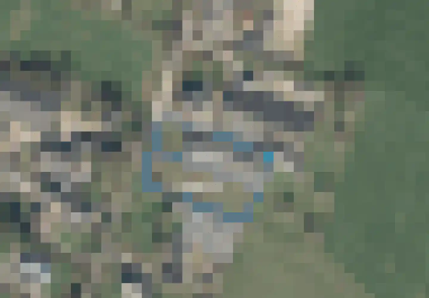Vrij 27 Siebengewald foto 3