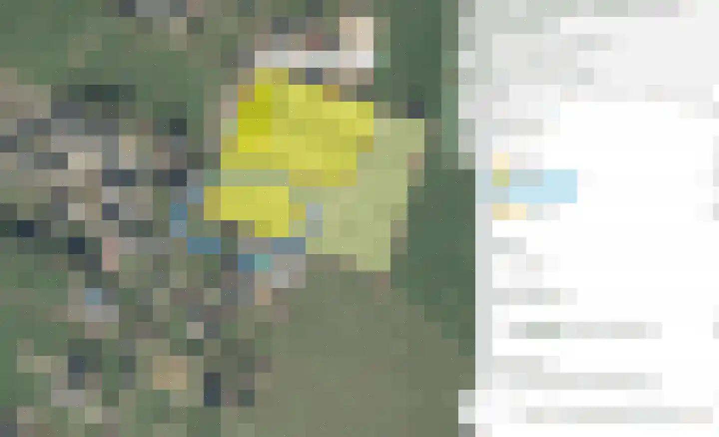 Vrij Siebengewald thumbnail 6