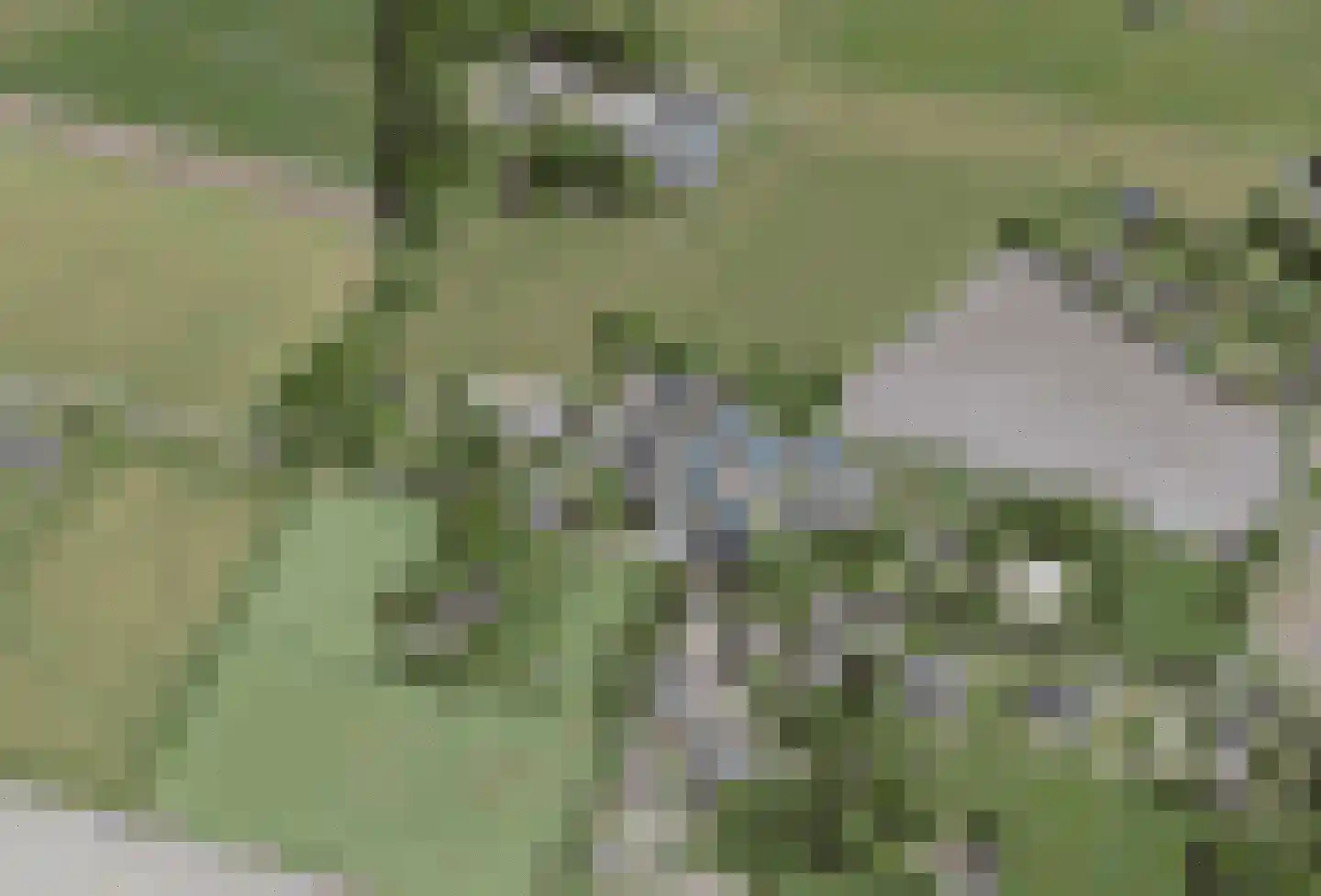 Vrij Siebengewald thumbnail 7