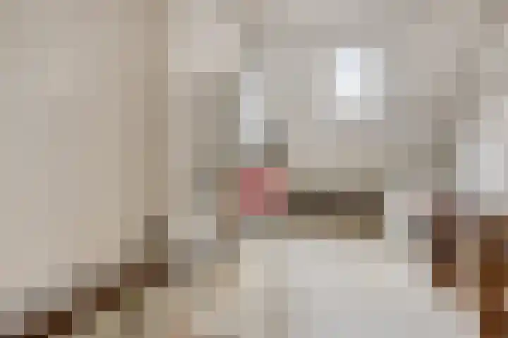 Vrijbuiterhof 15 Hoofddorp thumbnail 19