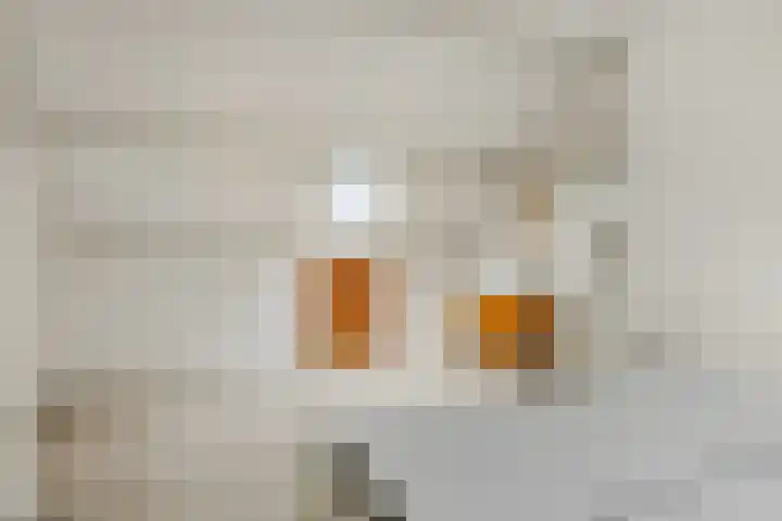 Vrijbuiterhof 15 Hoofddorp thumbnail 20
