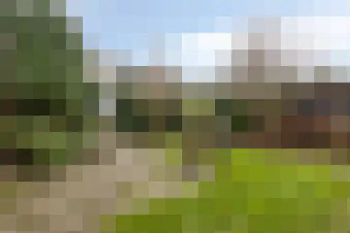 Vrijbuiterhof 15 Hoofddorp thumbnail 22