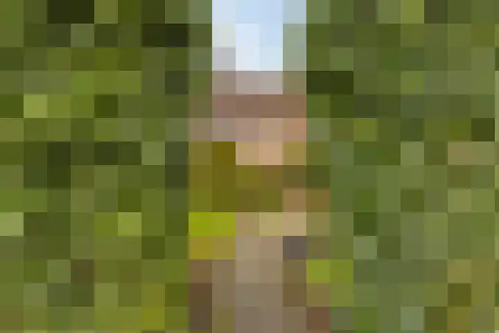 Vrijbuiterhof 15 Hoofddorp thumbnail 23