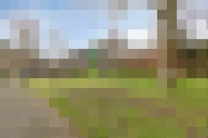 Vrijbuiterhof 15 Hoofddorp thumbnail 28