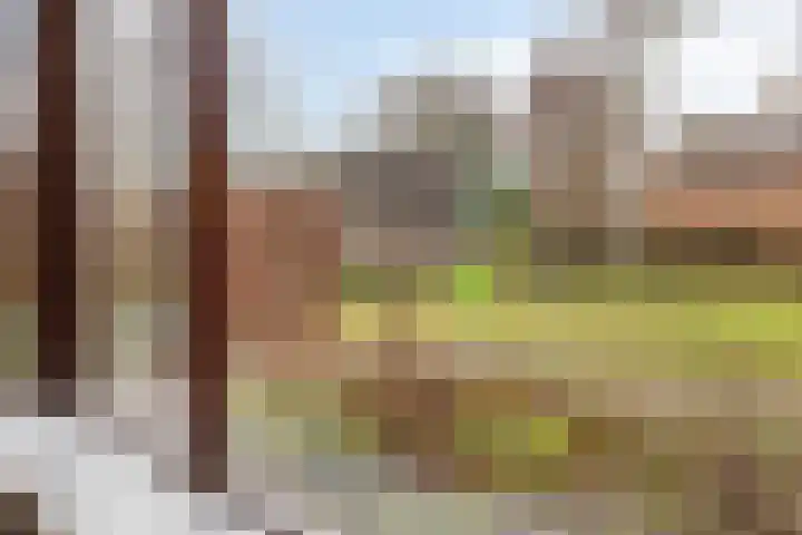 Vrijbuiterhof 15 Hoofddorp thumbnail 4