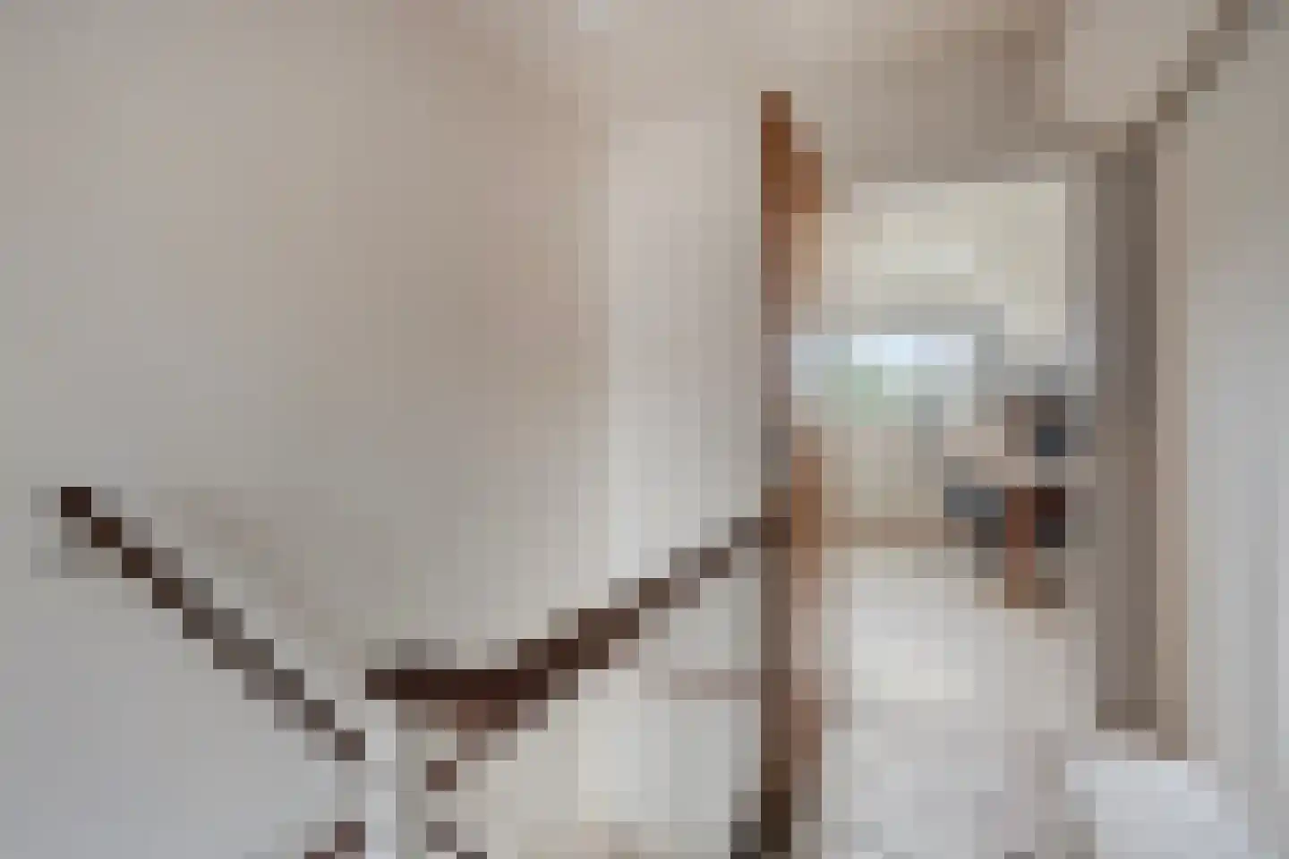 Vrijbuiterhof 31 Hoofddorp thumbnail 20