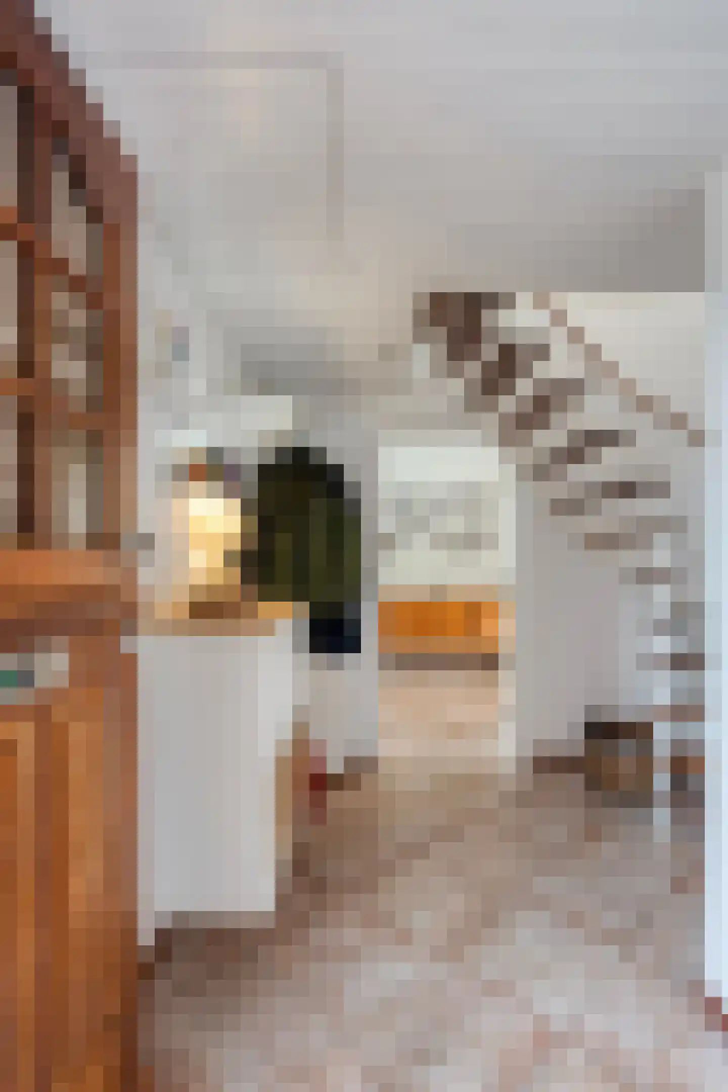 Vrijbuiterhof 31 Hoofddorp thumbnail 9
