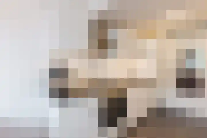Vrijburg 11 Amsterdam thumbnail 12
