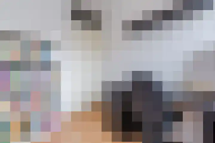 Vrijburg 11 Amsterdam thumbnail 17