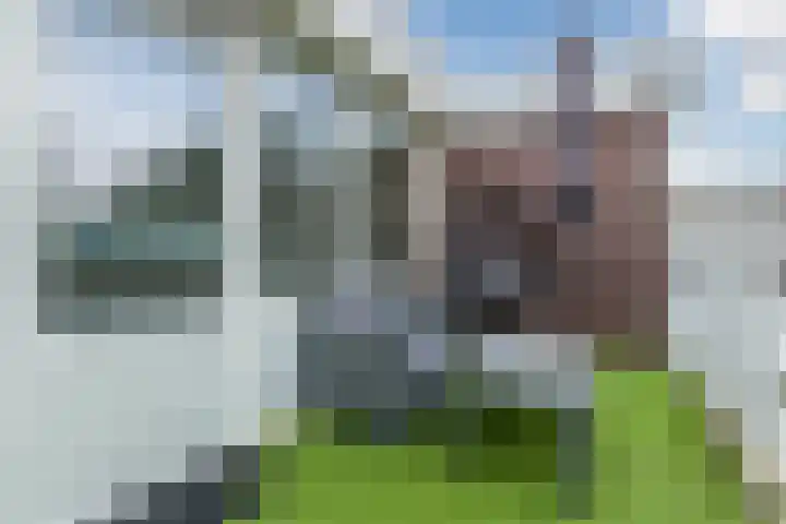 Vrijburg 11 Amsterdam thumbnail 20
