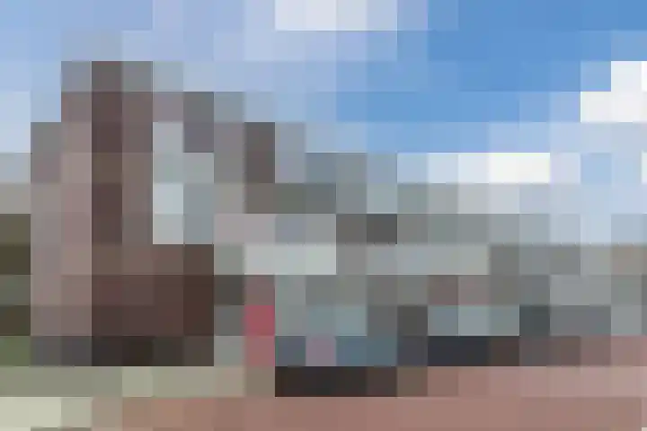 Vrijburg 11 Amsterdam thumbnail 7