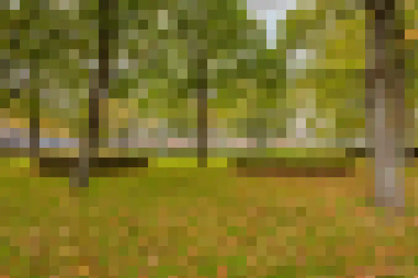 Vrijburg 13 Amsterdam thumbnail 30