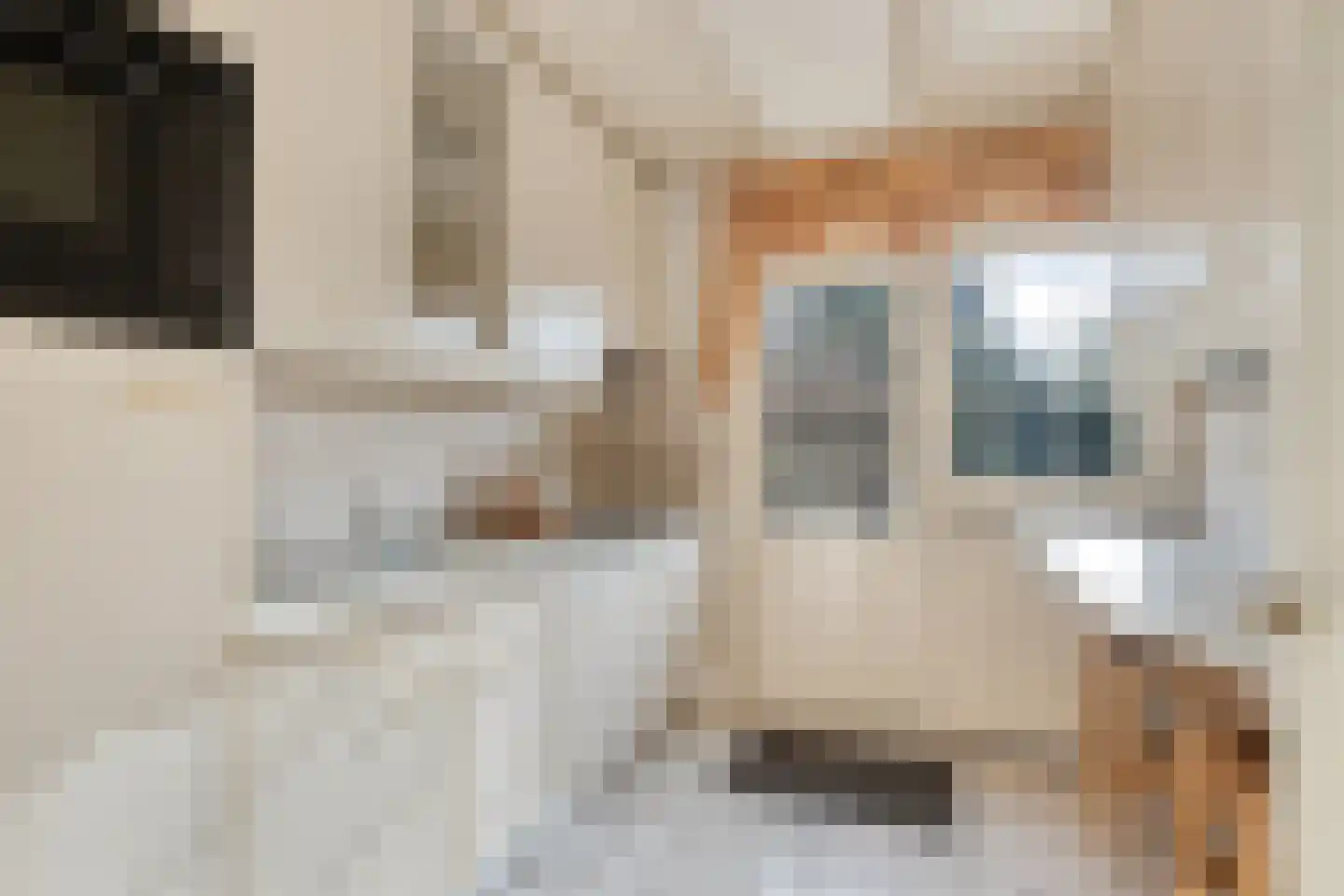 Vrijburglaan 12 Heemskerk thumbnail 10