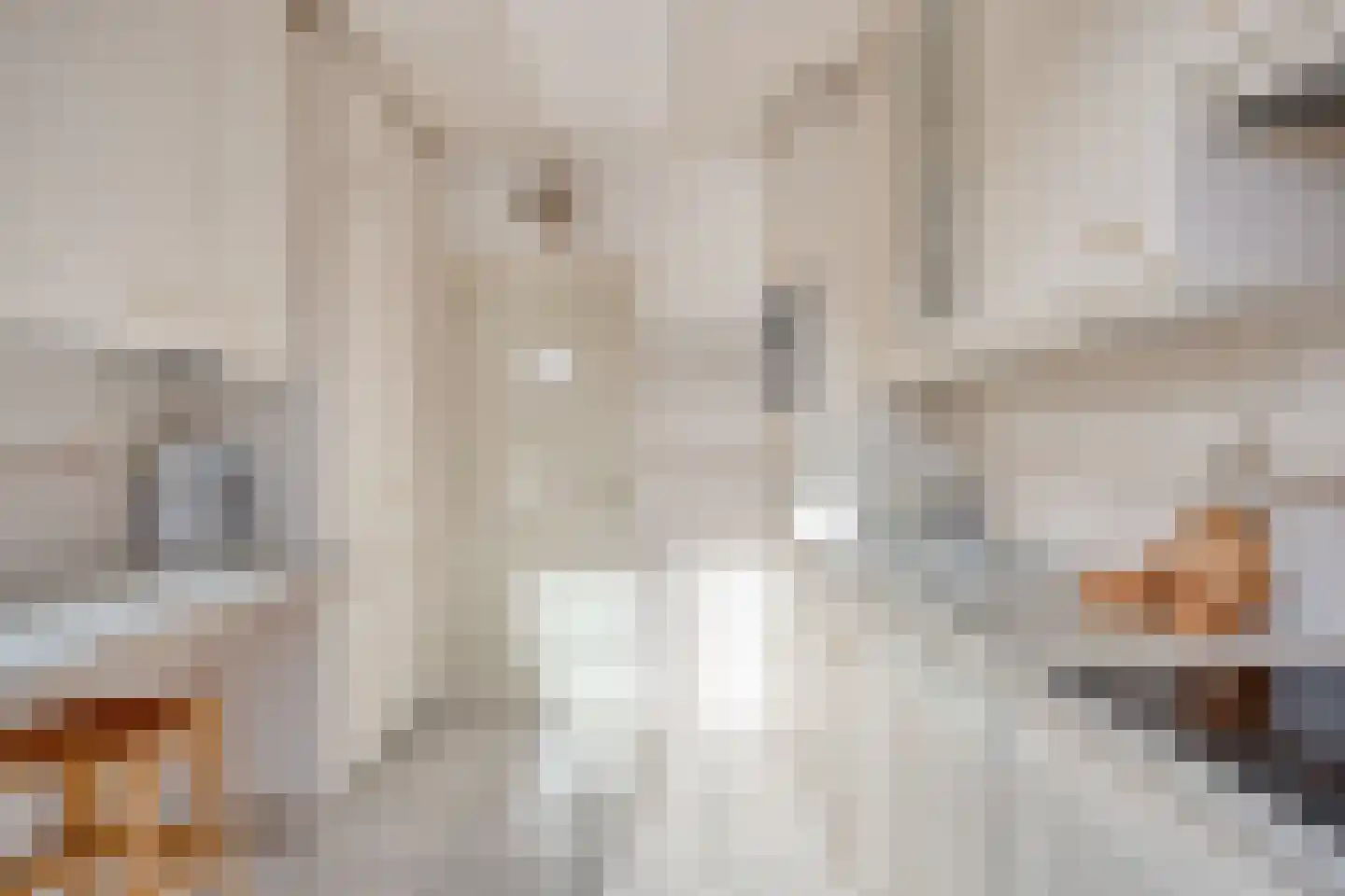 Vrijburglaan 12 Heemskerk thumbnail 12