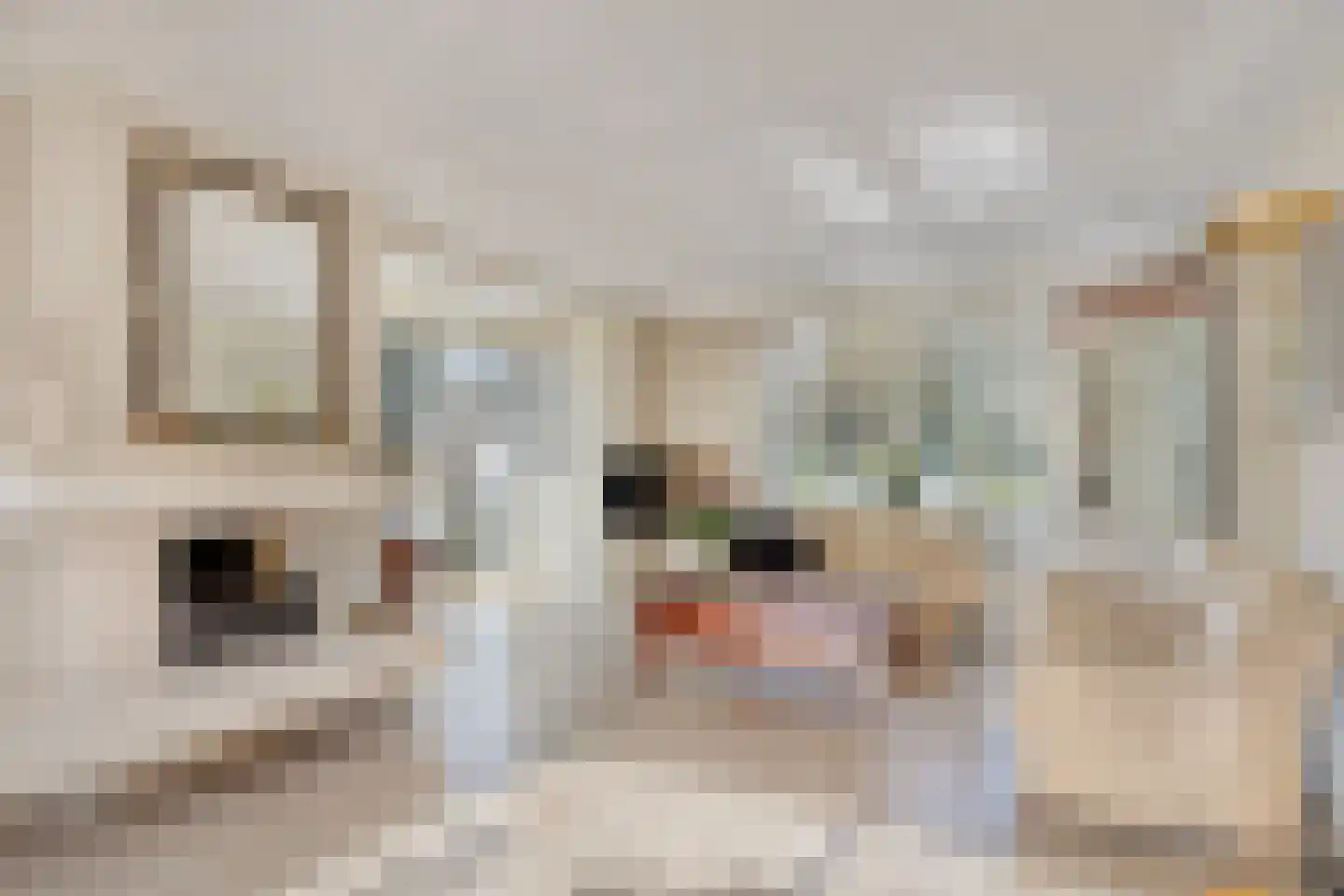 Vrijburglaan 12 Heemskerk thumbnail 4