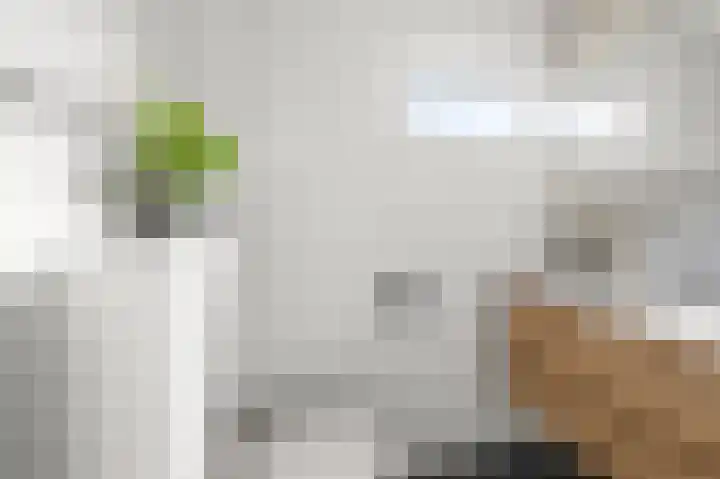 Vrijburglaan 18 Uitgeest thumbnail 25