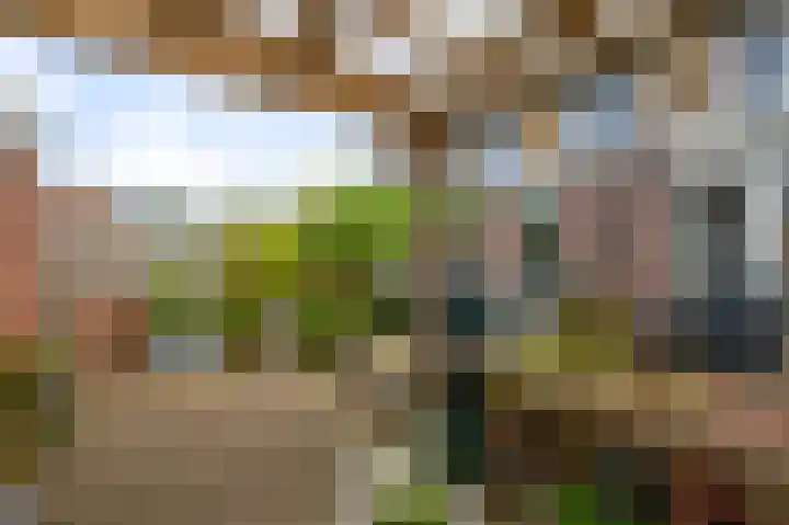 Vrijburglaan 18 Uitgeest thumbnail 36