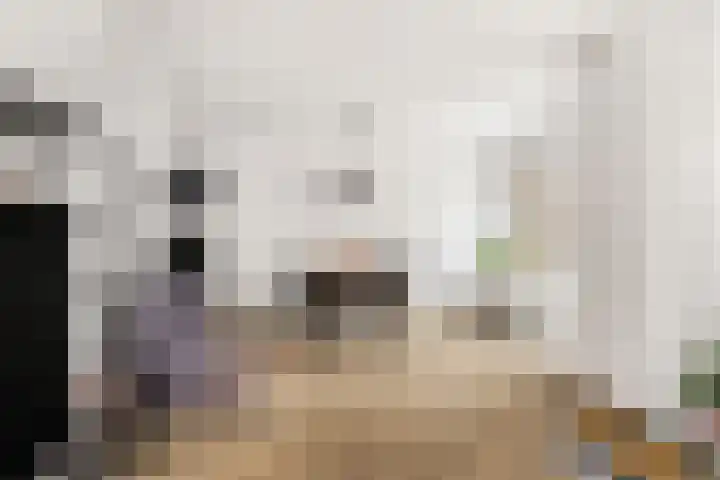 Vrijburglaan 23 Uitgeest thumbnail 12