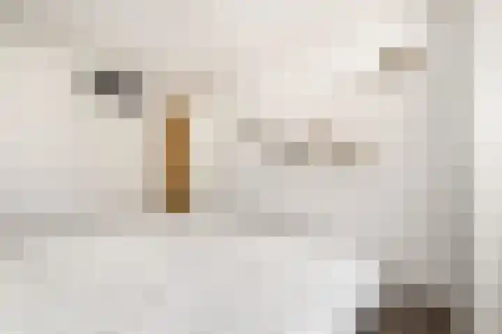 Vrijburglaan 23 Uitgeest thumbnail 20