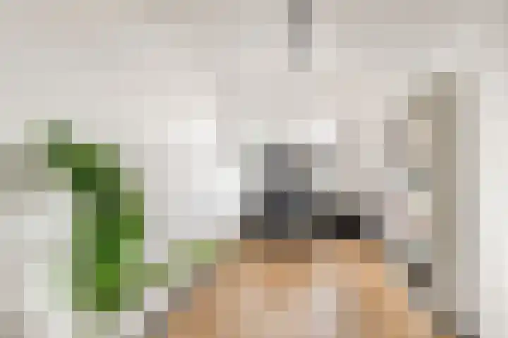 Vrijburglaan 23 Uitgeest thumbnail 31