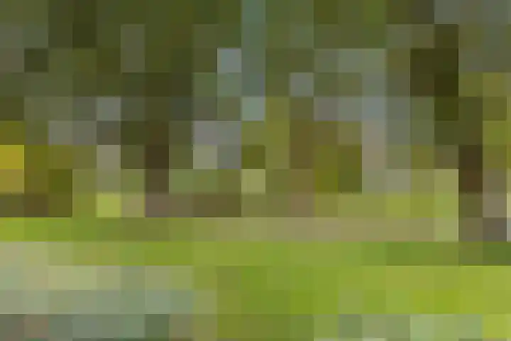 Vrijburglaan 23 Uitgeest thumbnail 42