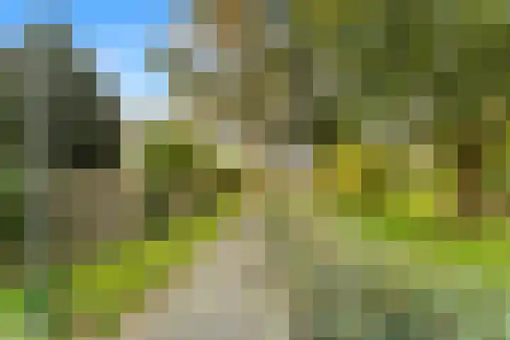 Vrijburglaan 23 Uitgeest thumbnail 43