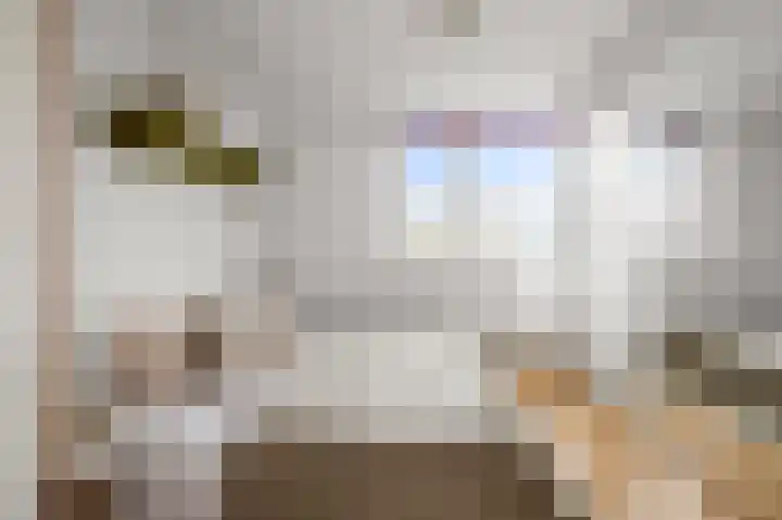 Vrijburglaan 67 Uitgeest thumbnail 19