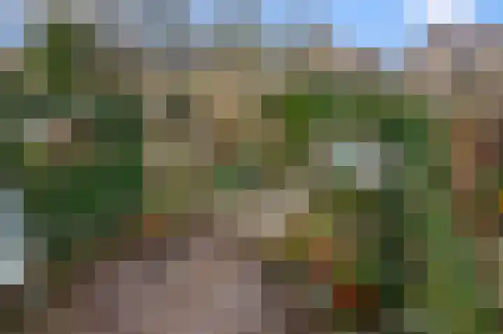 Vrijburglaan 67 Uitgeest thumbnail 26