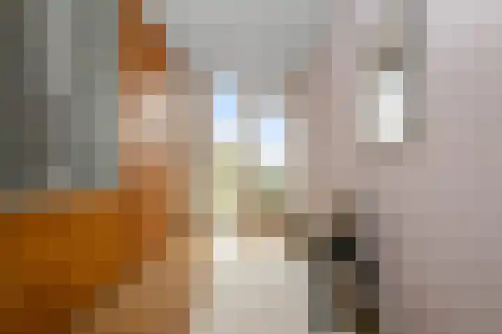 Vrijburglaan 67 Uitgeest thumbnail 27