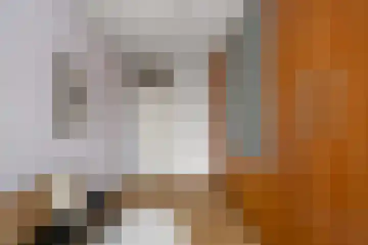 Vrijburglaan 67 Uitgeest thumbnail 28