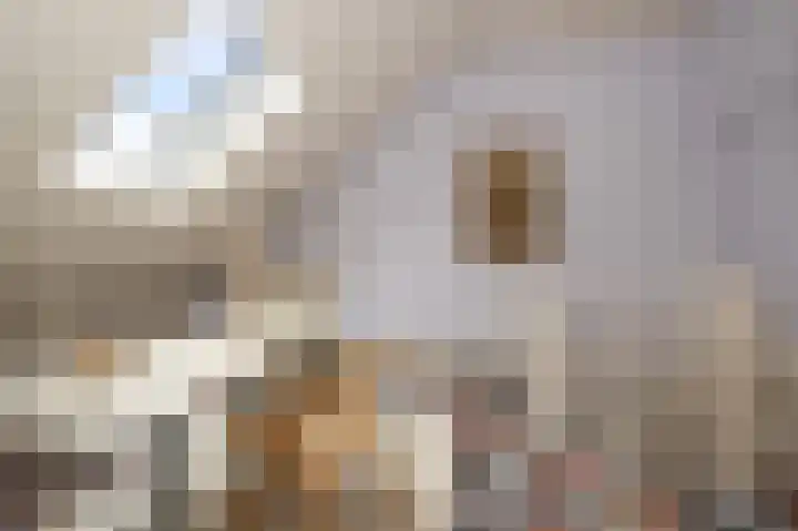 Vrijburglaan 67 Uitgeest thumbnail 36