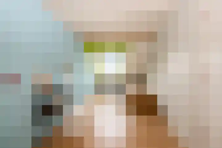 Vrijburglaan 67 Uitgeest thumbnail 38
