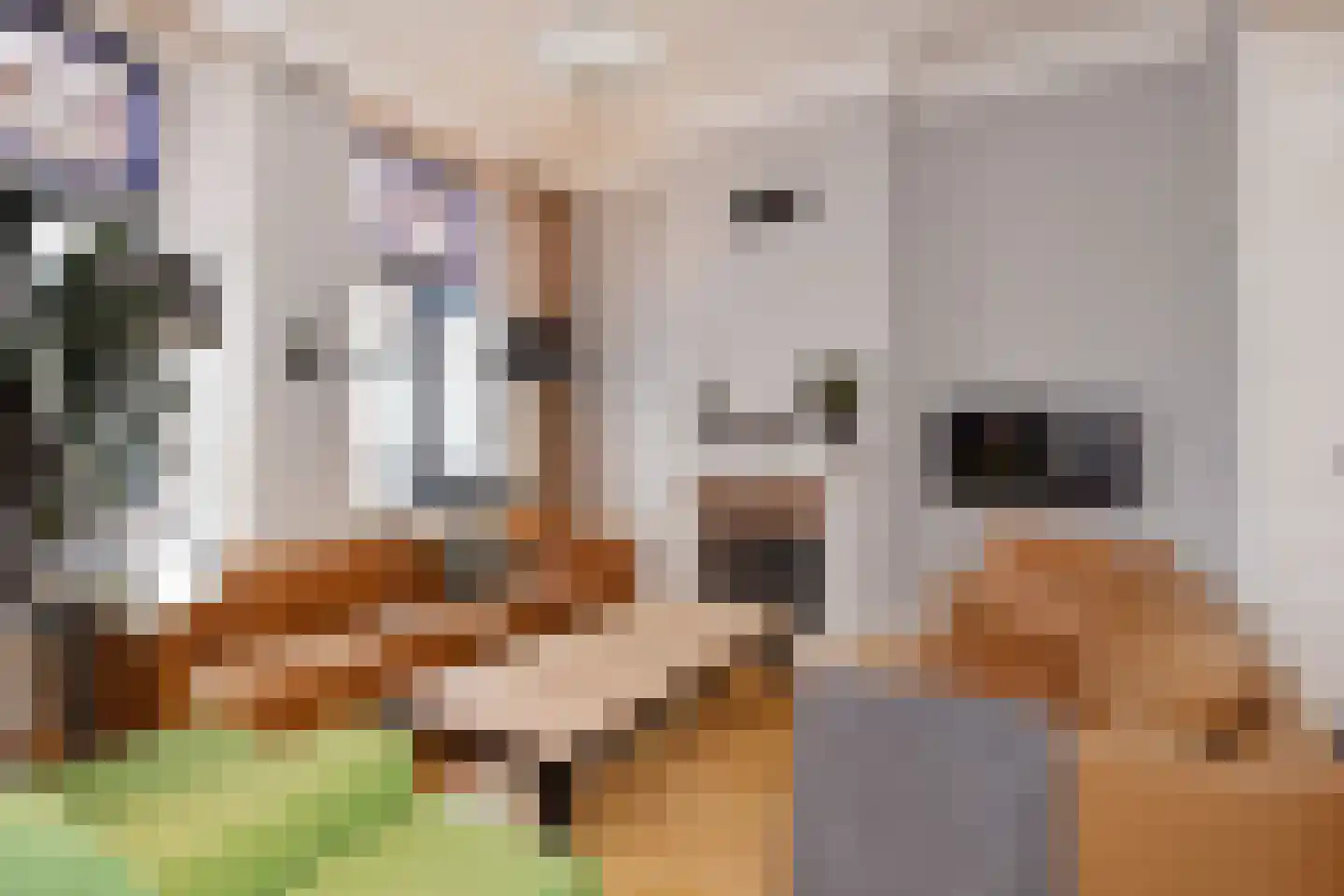 Vrijburgstraat 1 Voorburg thumbnail 10