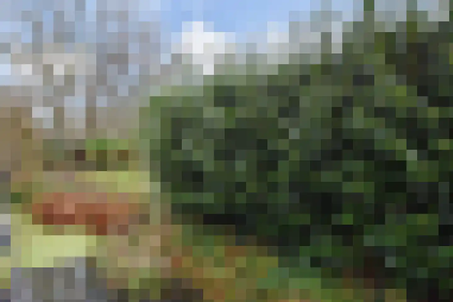 Vrijburgstraat 1 Voorburg thumbnail 26