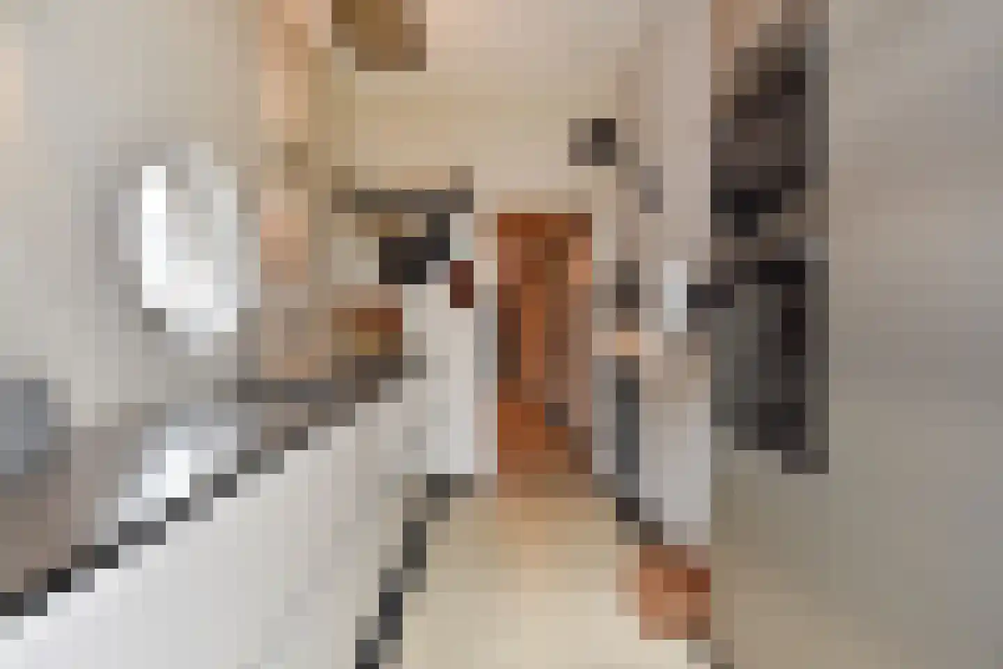 Vrijburgstraat 1 Voorburg thumbnail 31