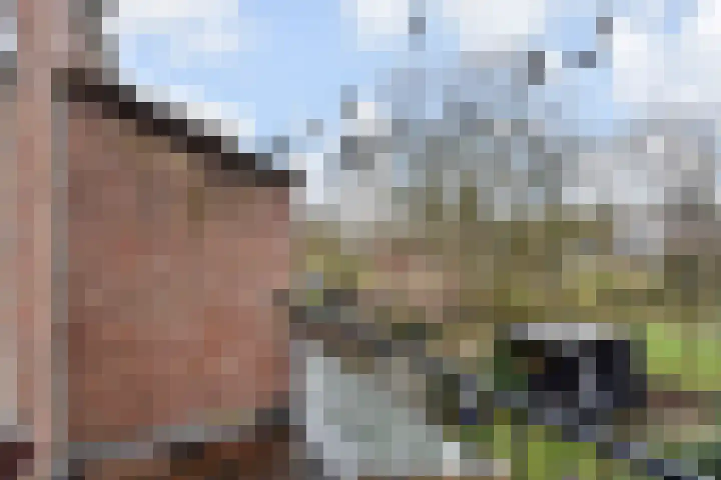 Vrijburgstraat 1 Voorburg thumbnail 39