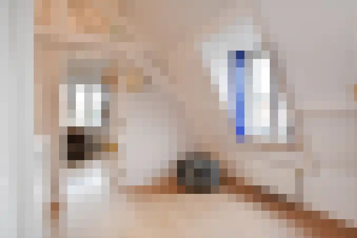 Vrijburgstraat 1 Voorburg thumbnail 55