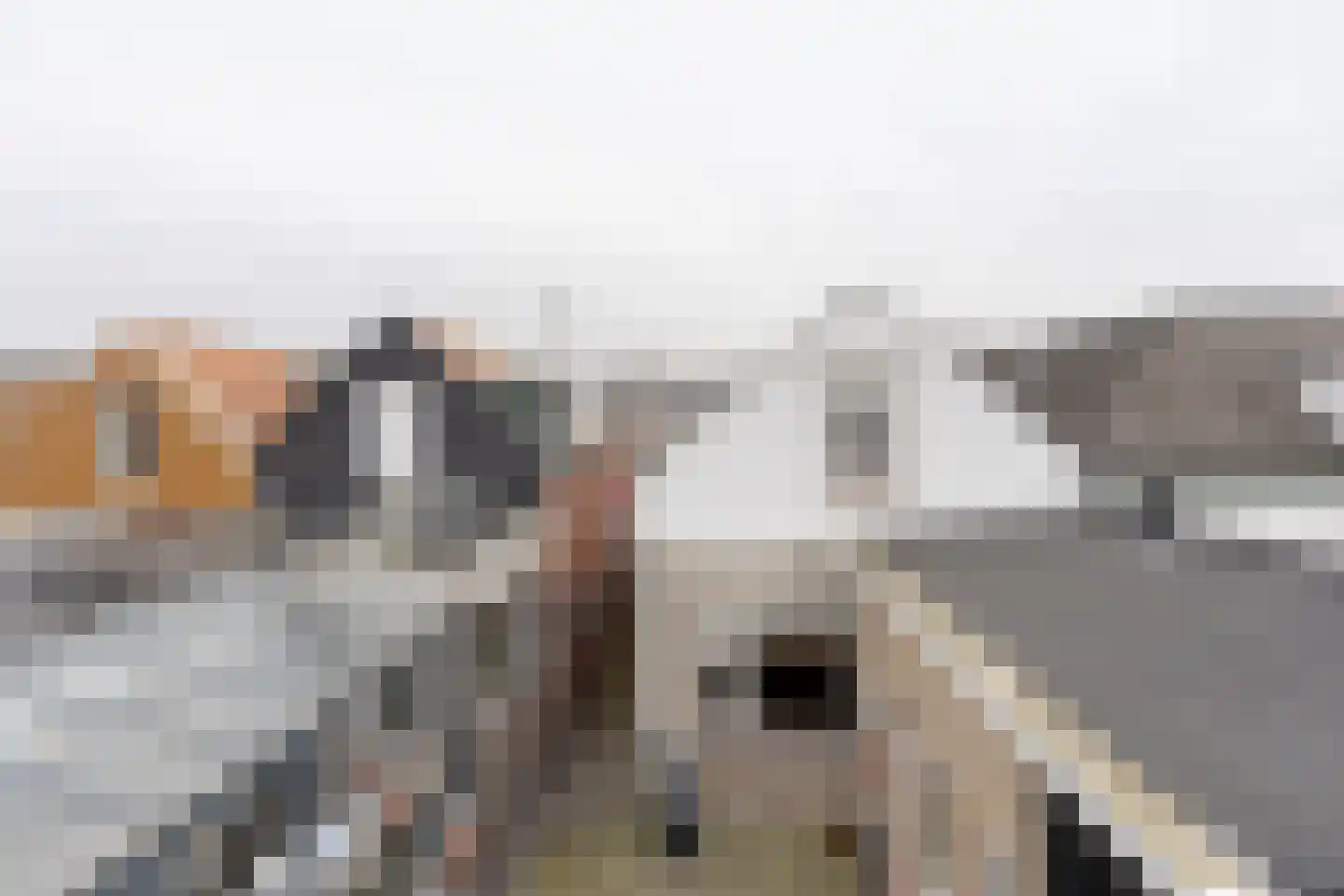 Vrijburgstraat 17 Vlissingen thumbnail 57