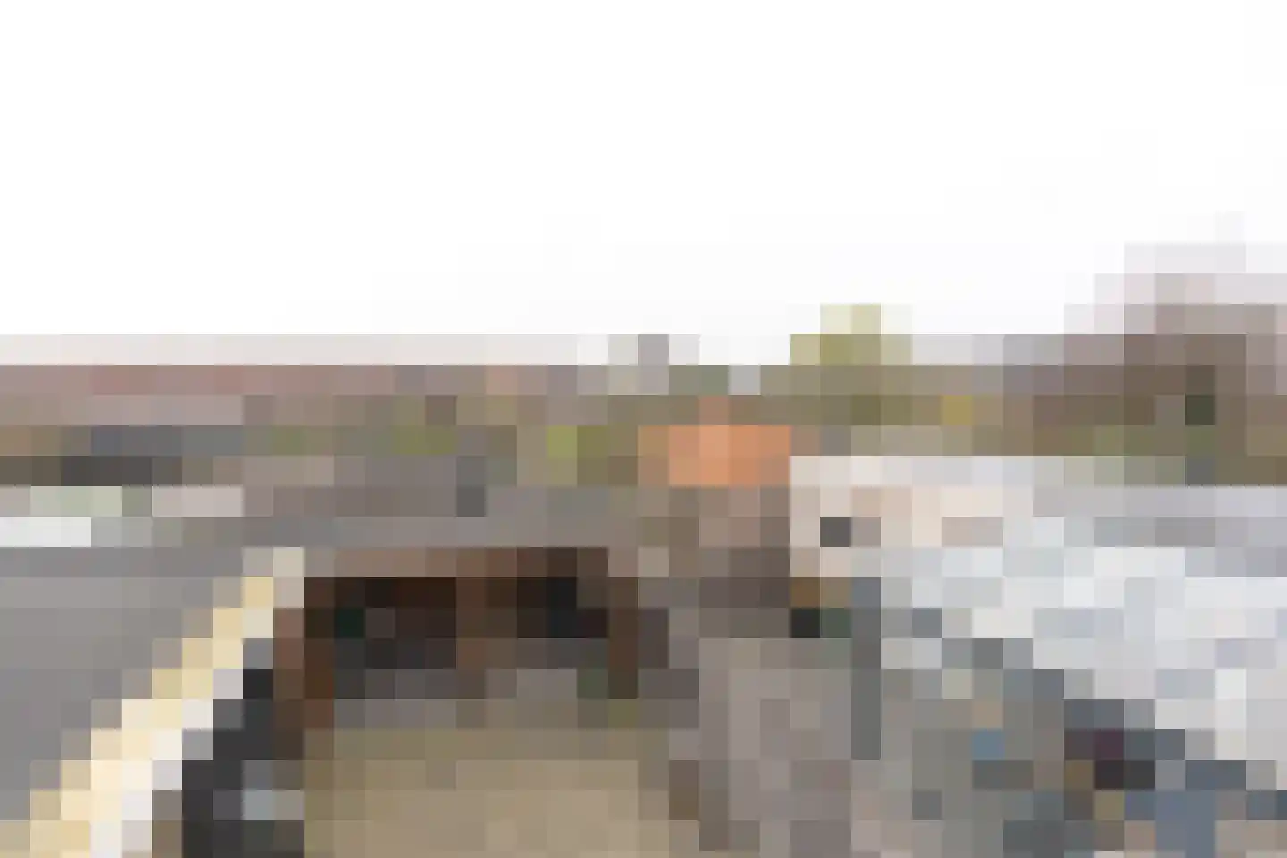 Vrijburgstraat 17 Vlissingen thumbnail 62
