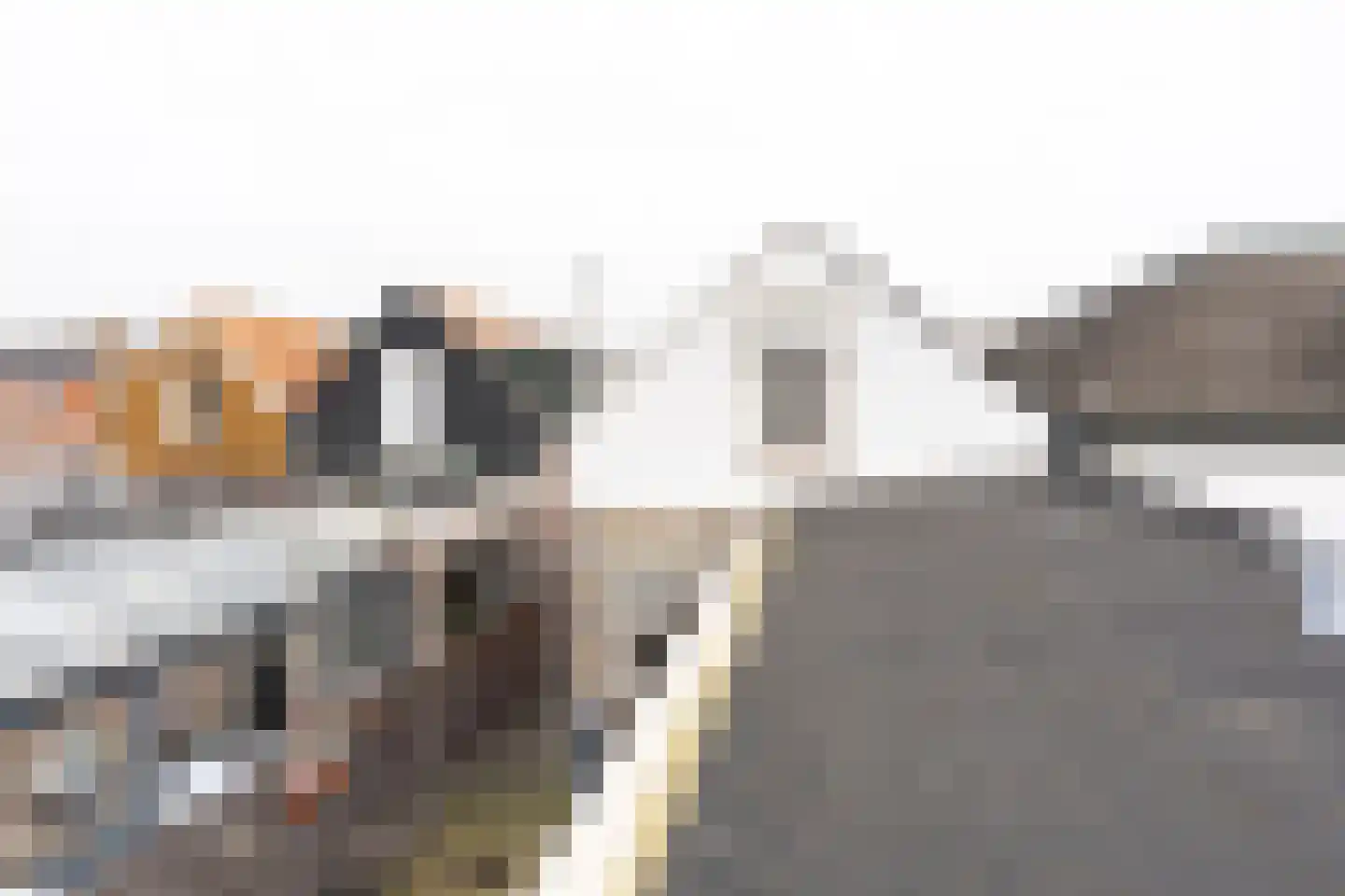 Vrijburgstraat 17 Vlissingen thumbnail 63