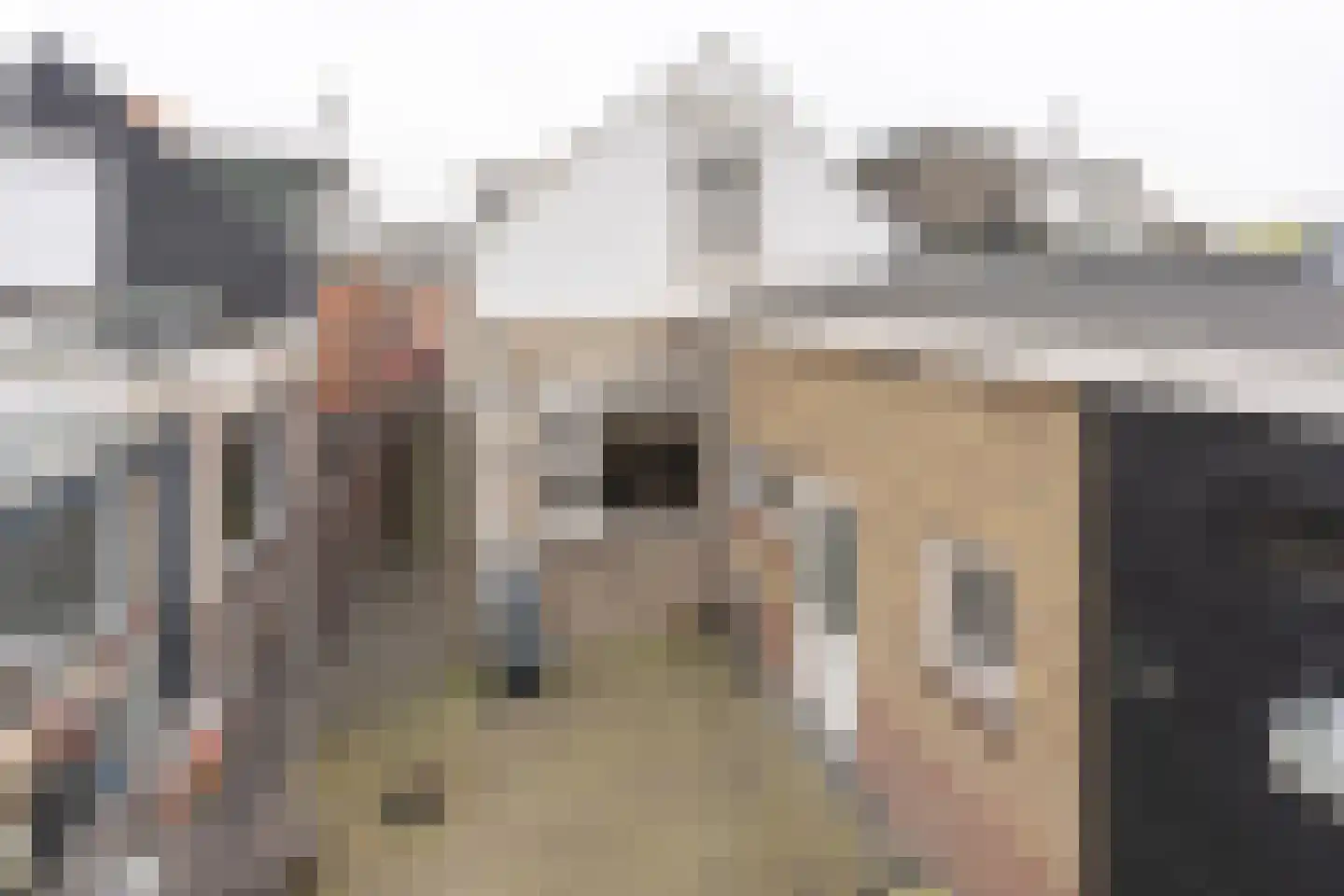 Vrijburgstraat 17 Vlissingen thumbnail 64