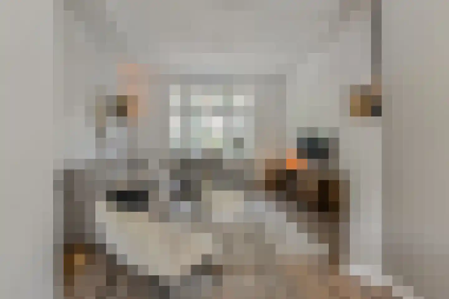 Vrijburgstraat 20 Voorburg thumbnail 10