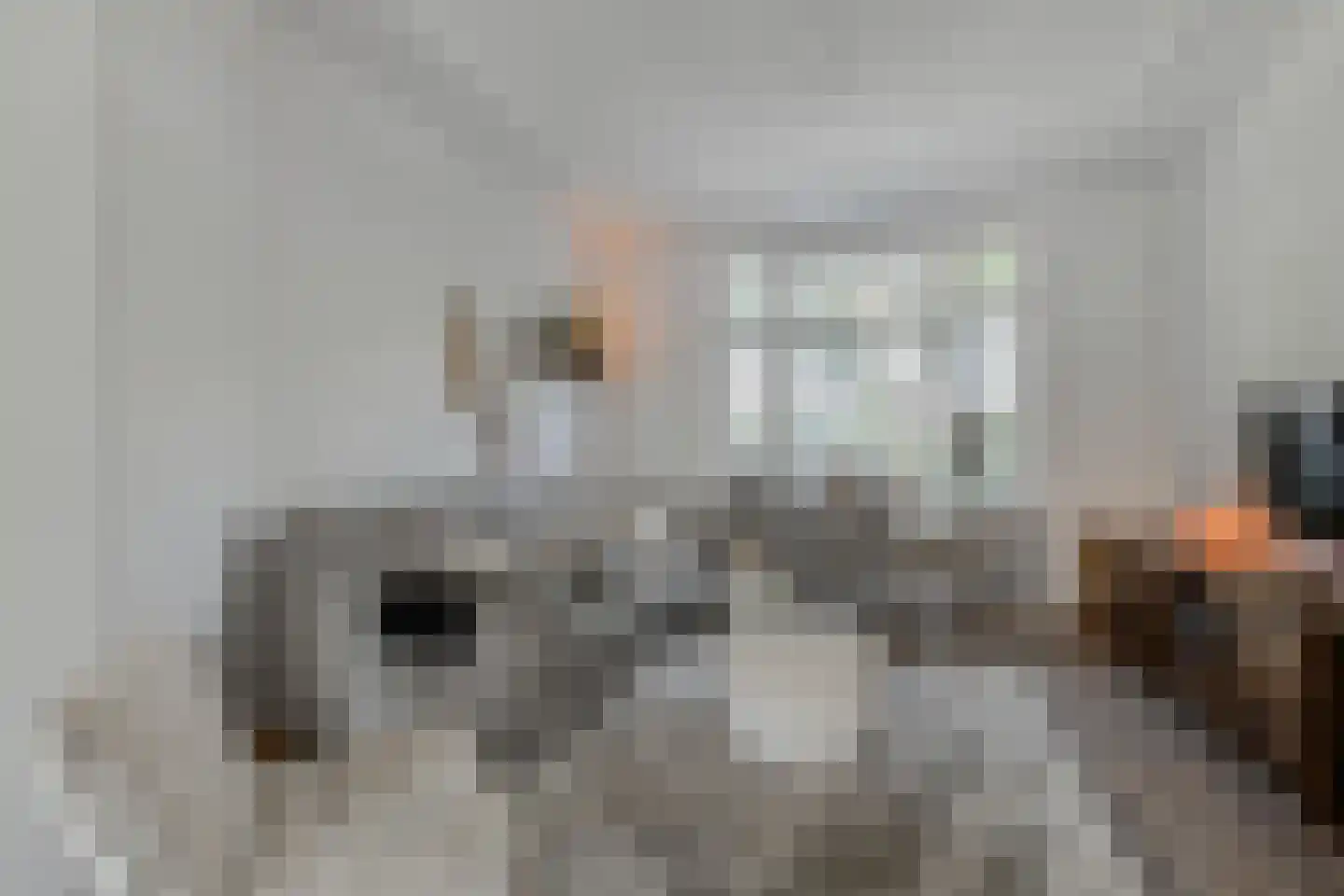 Vrijburgstraat 20 Voorburg thumbnail 11