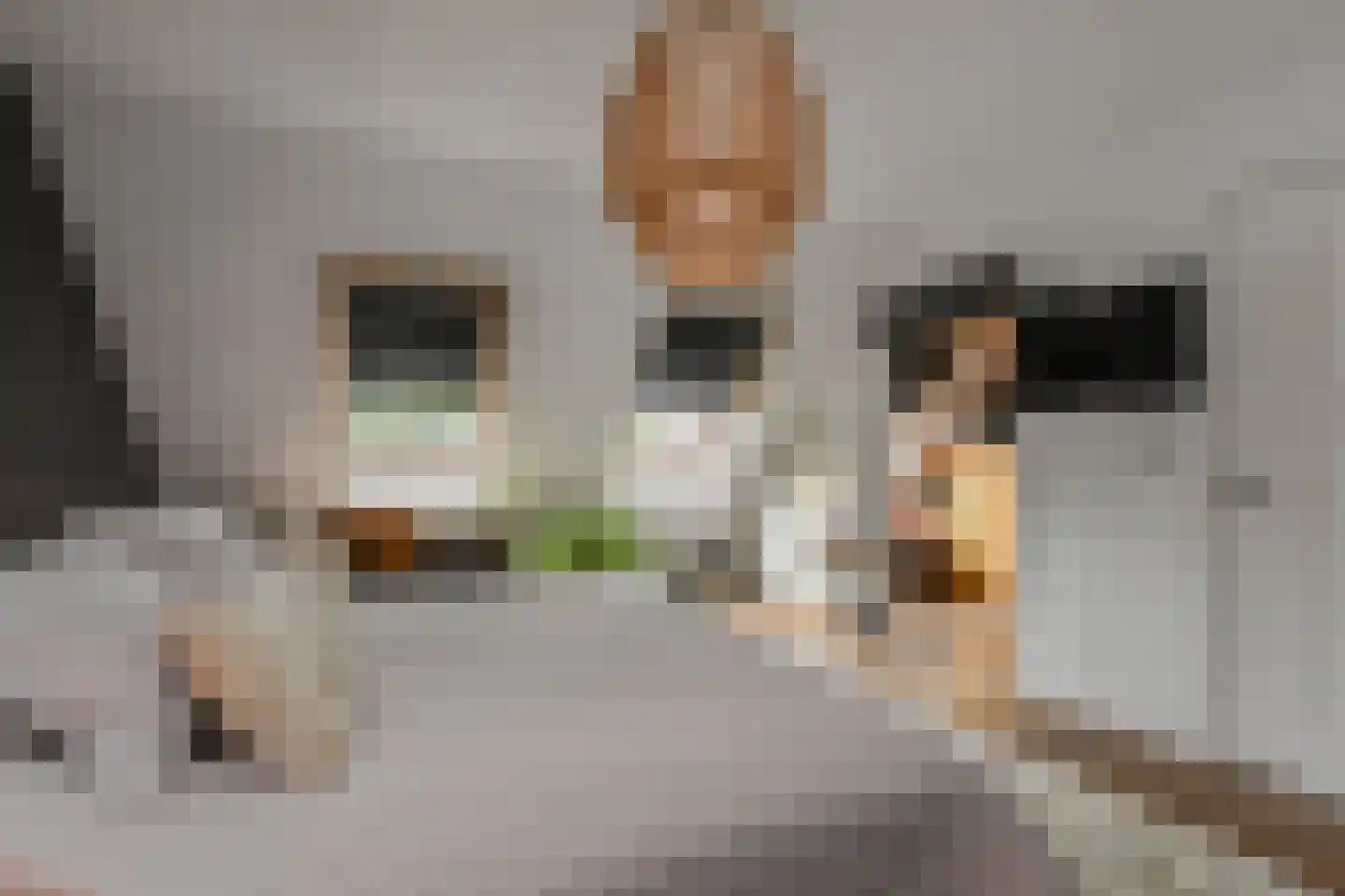 Vrijburgstraat 20 Voorburg thumbnail 31