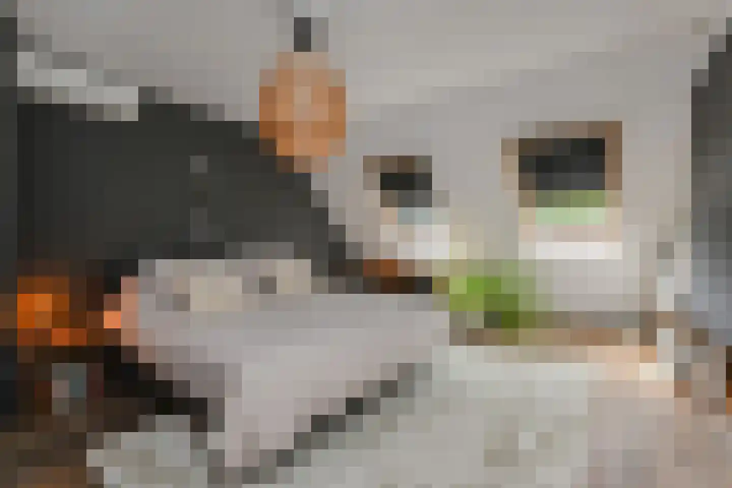 Vrijburgstraat 20 Voorburg thumbnail 32