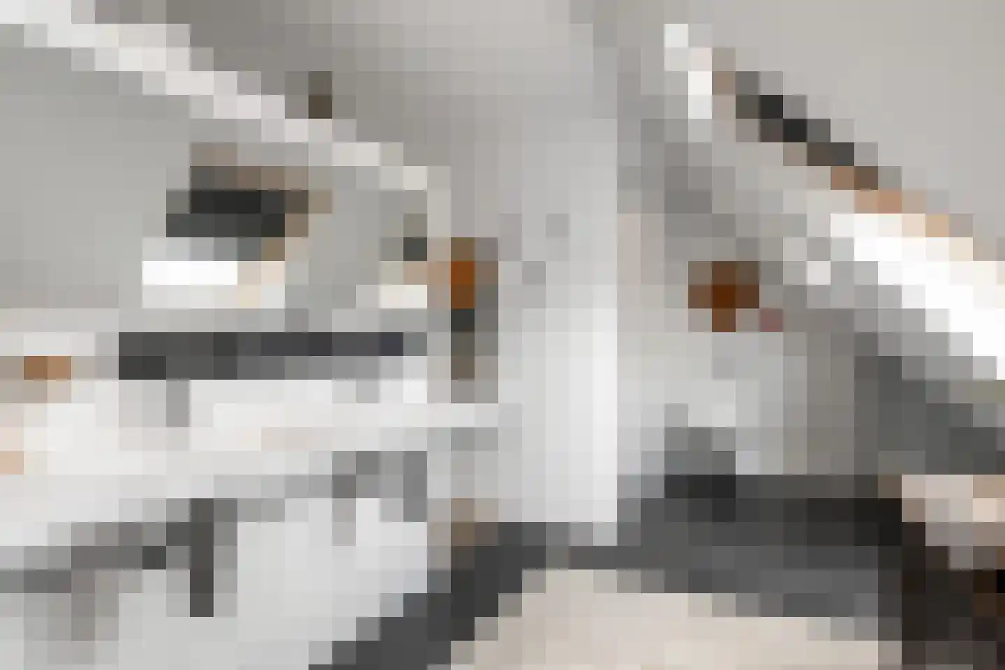 Vrijburgstraat 20 Voorburg thumbnail 35