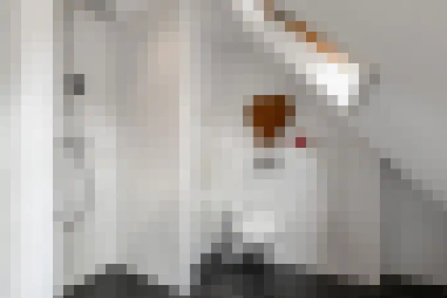 Vrijburgstraat 20 Voorburg thumbnail 37